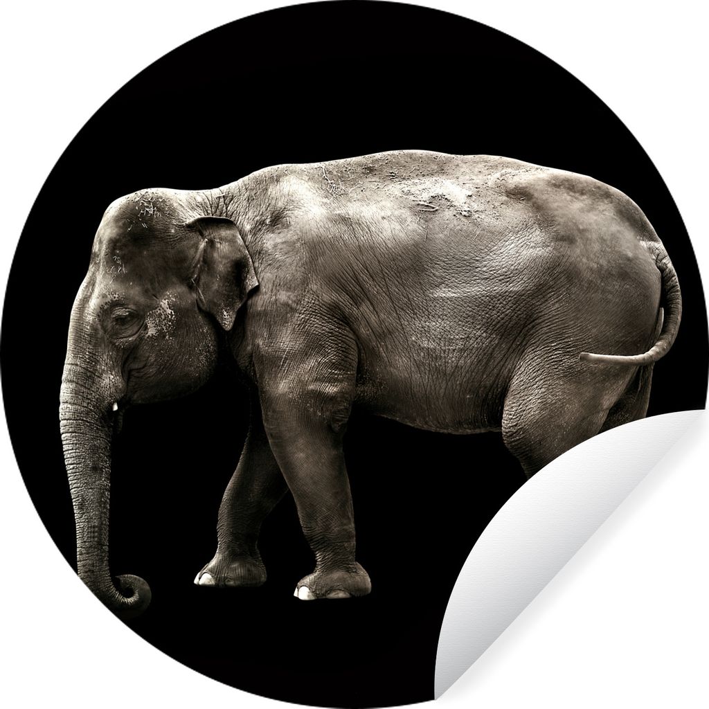MuchoWow Runde Wandtattoo - Wandsticker Tapete Aufkleber Elefant - Wilde Tiere - Schwarz Ø 80 cm Selbstklebend und Repositionierbar - Wandaufkle...