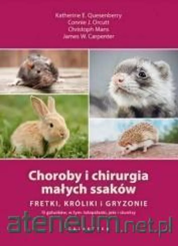 Maladies et chirurgie des petits mammifères : Guide clinique vétérinaire