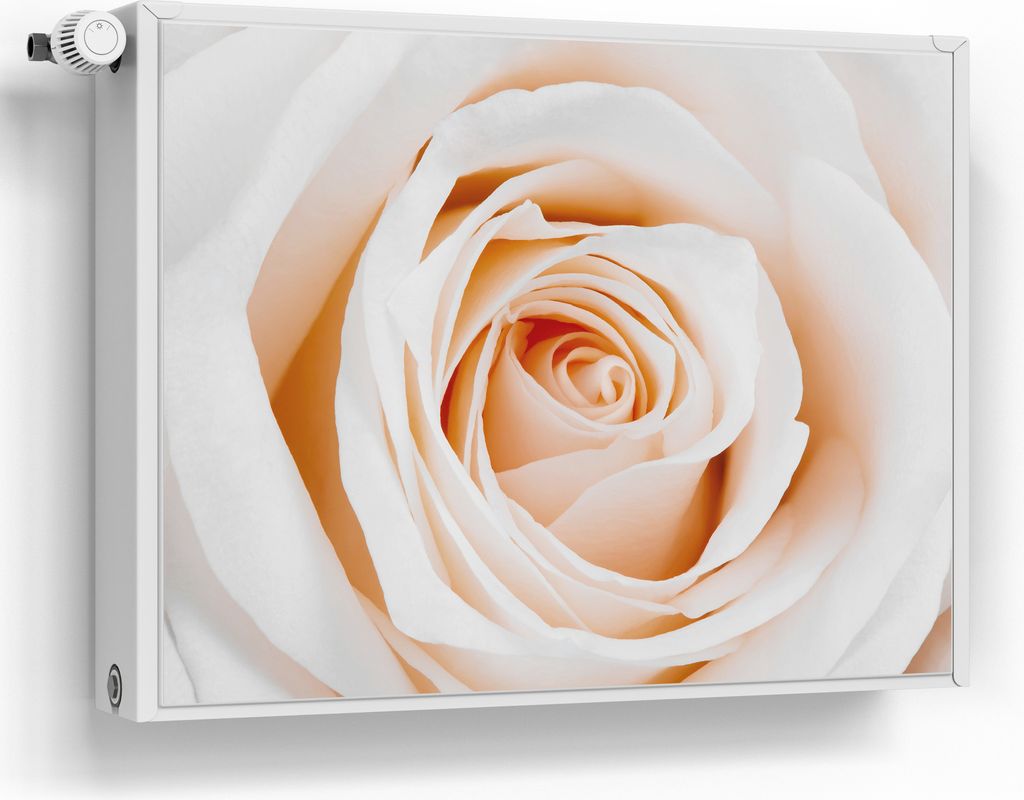 DEQORI Magnetmatte Heizung beschreibbar 80x60 cm 'Sanfte Rosenpracht' Magnetfolie