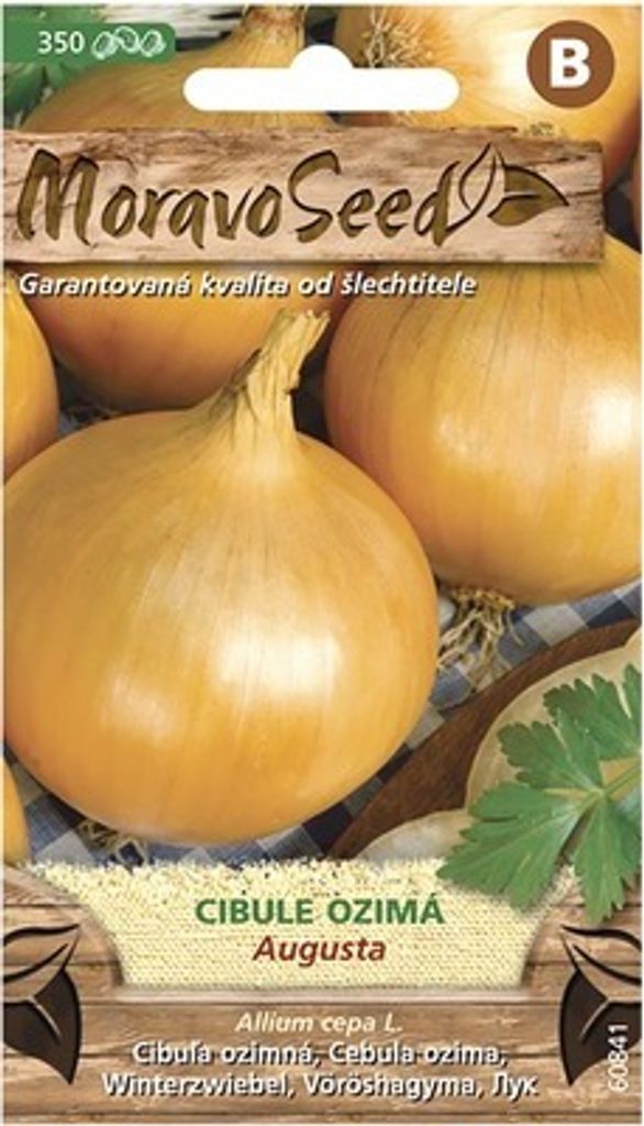 Gelbe Winterzwiebel AUGUSTA MoravoSeed
