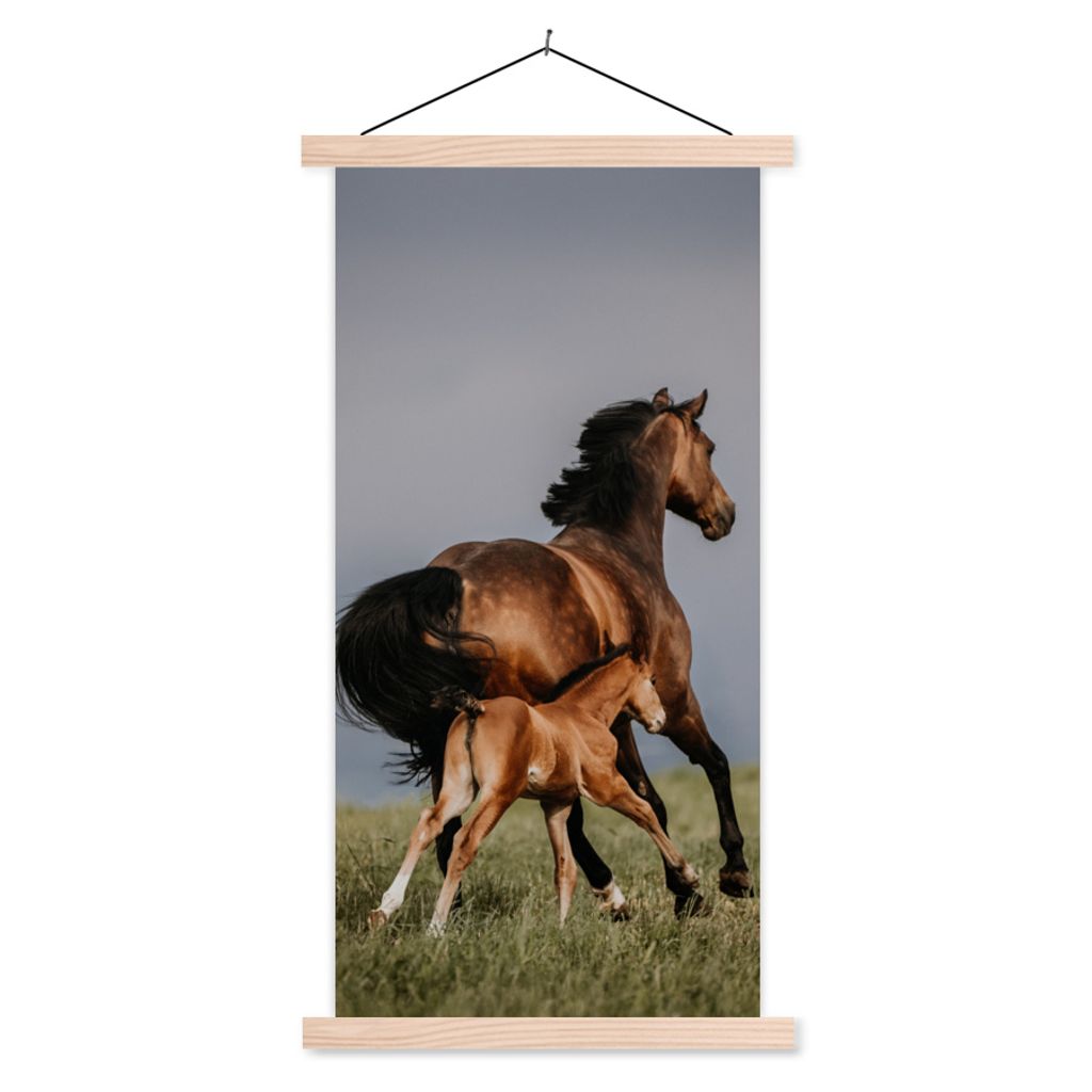 MuchoWow Textilposter Tiere - Pferde - Fohlen 40x80 cm mit holzfarbenen Rahmen - Wohnzimmer