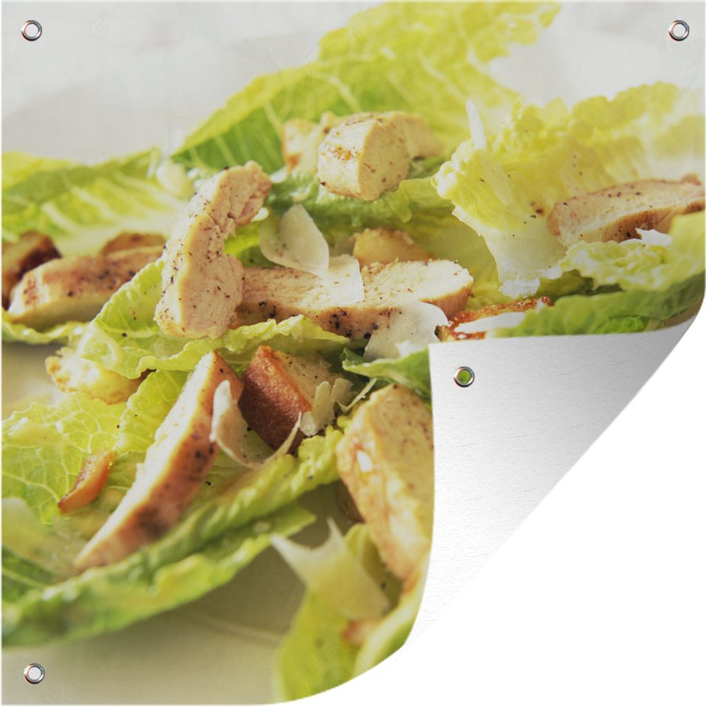 MuchoWow 50x50 cm Outdoor-Poster Gartendeko Sichtschutz Garten Poster für den Garten Nahaufnahme eines Hähnchen-Caesar-Salats