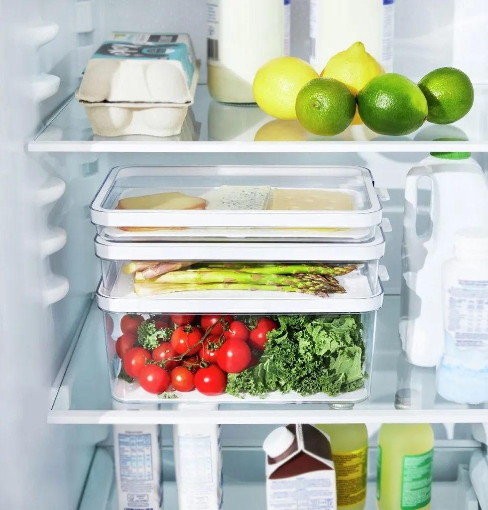 Rotho Cauma Set Contenitori Alimentari Frigo 1.3L+2.6L+4.65L BPA Free - 4