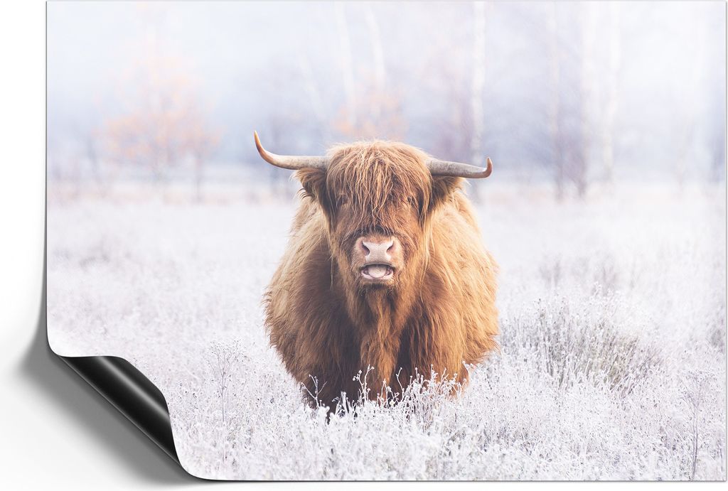 DEQORI Magnetmatte Universal 59x42 cm (A2) 'Frostiger Hochlandblick' Magnetfolie Kalender Planer