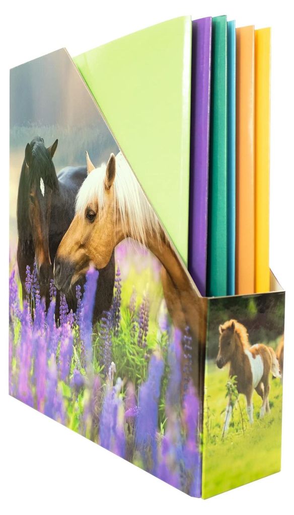 HERMA 19718 Reliure à anneaux A4 en carton avec motif de Image du produit 