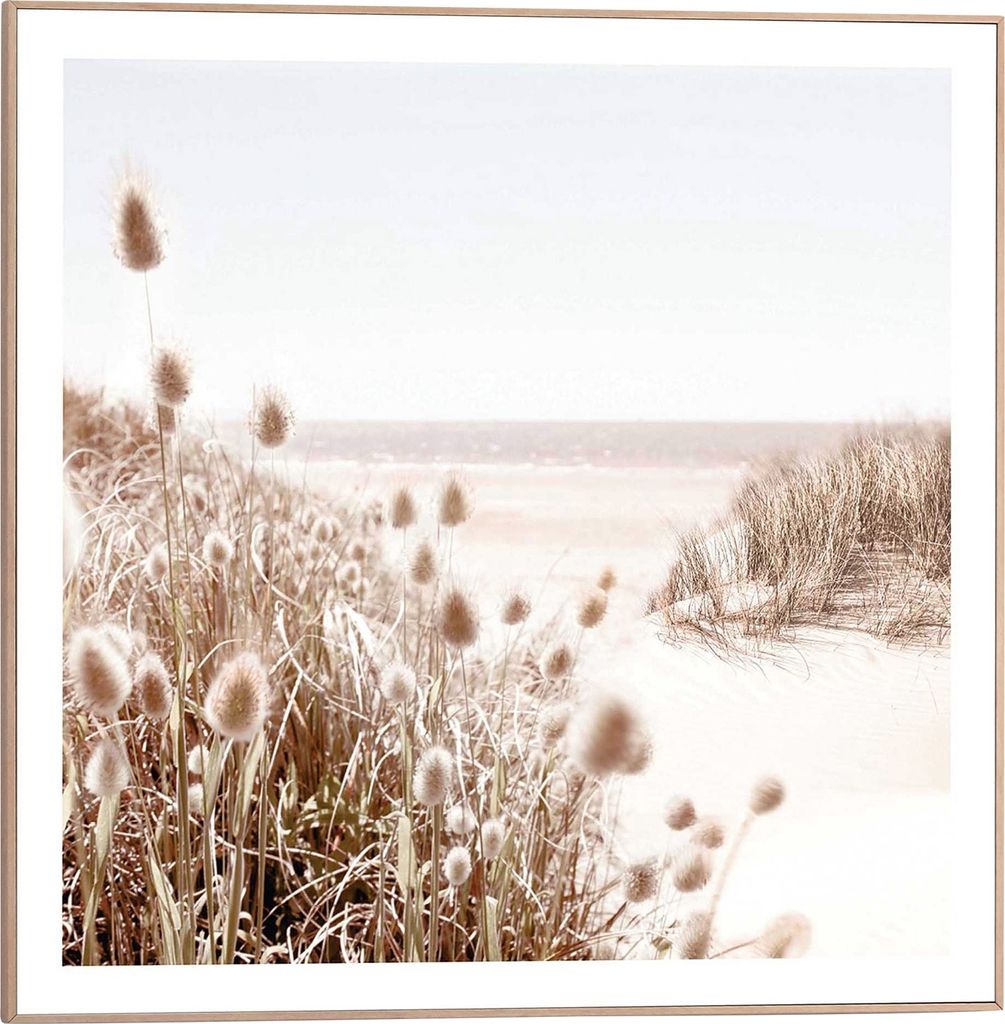 Wandbild - Braun - Weiß - 50 x 50 cm - Dune Beach