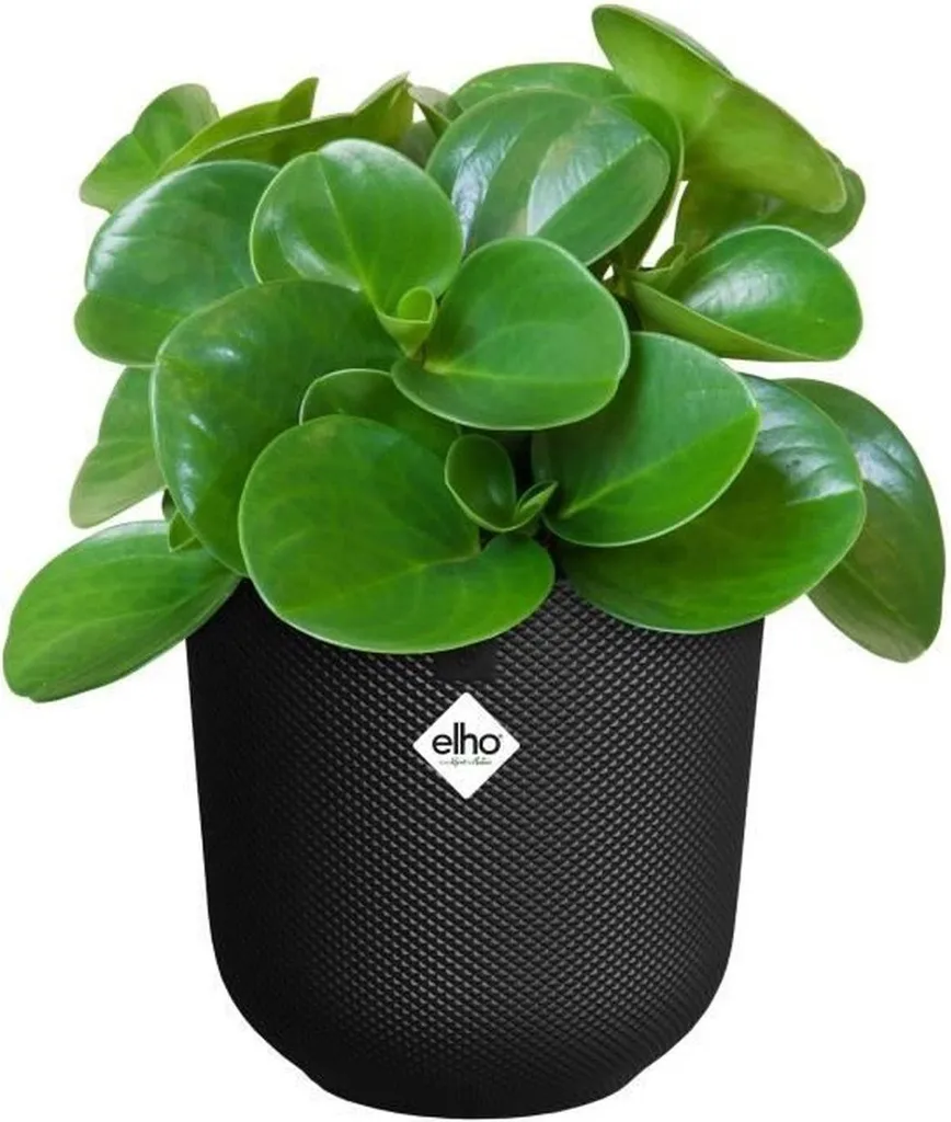 elho jazz rund pot 26cm noir mat résistant - design moderne et durable