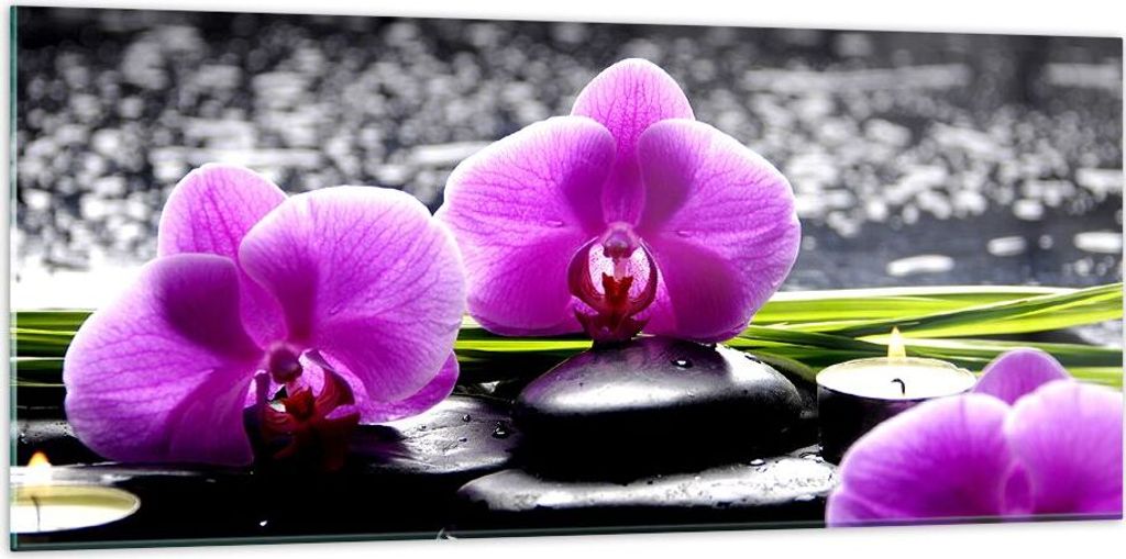 Bilder auf glas - Orchidee Natur Wasser Blume - 120x50cm - Glasbilder - Wandbilder - Kunstdruck - zum Aufhängen bereit - Wanddekoration aus Glas -...