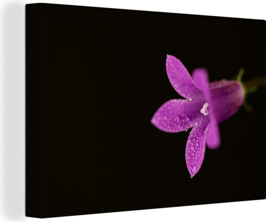 OneMillionCanvasses - Leinwandbilder - 150x100 cm, Eine Nahaufnahme einer lila Lilie auf schwarzem Hintergrund, Wandbilder Kunstdruck Wanddekoration