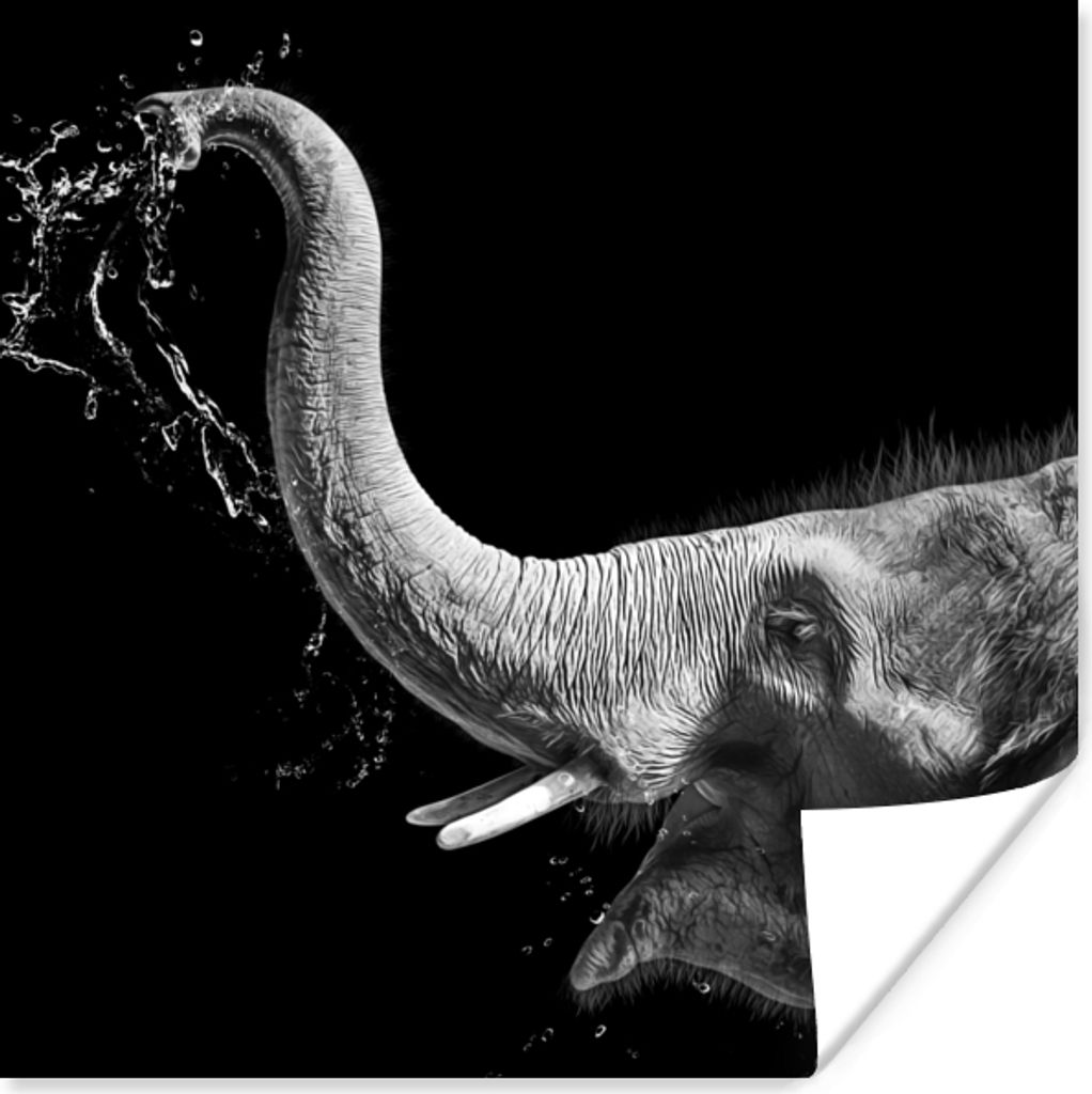 MuchoWow Poster Porträt - Elefant - Tiere - Schwarz und weiß 75x75 cm - Wand Dekoration