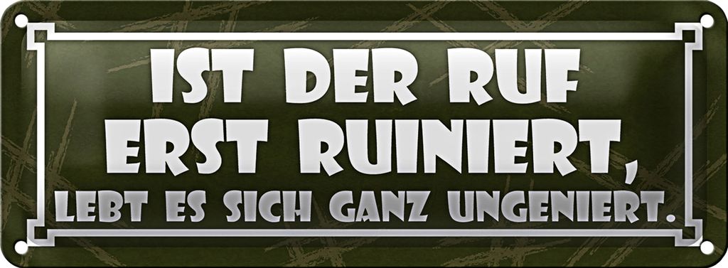 Blechschild Spruch 27x10cm Ist der Ruf erst ruiniert Dekoration