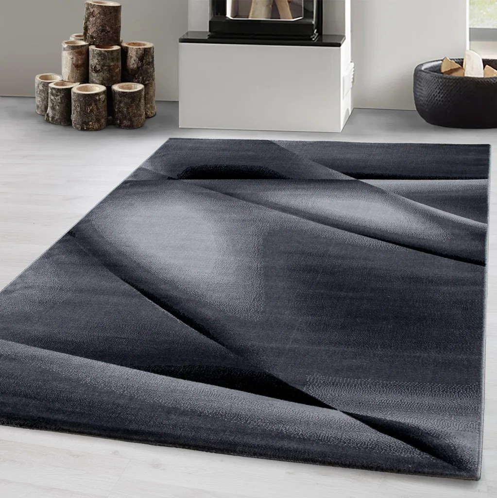 Tapis de Salon Moderne Rectangulaire à Poils Courts 120x170 cm Facile à Laver