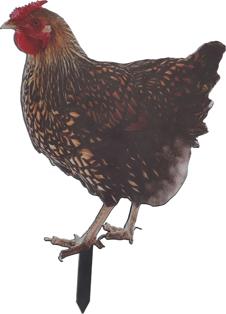 Décoration de Jardin Coq et Poule en Acrylique pour Pelouse et Extérieur 3pcs - 5