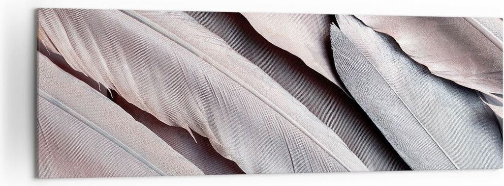 Bild auf Leinwand - Leinwandbild - Einteilig - Federn Flügel Feder - 160x50cm - Wand Bild - Wanddeko - Wandbilder - Leinwanddruck - Bilder - Wandd...