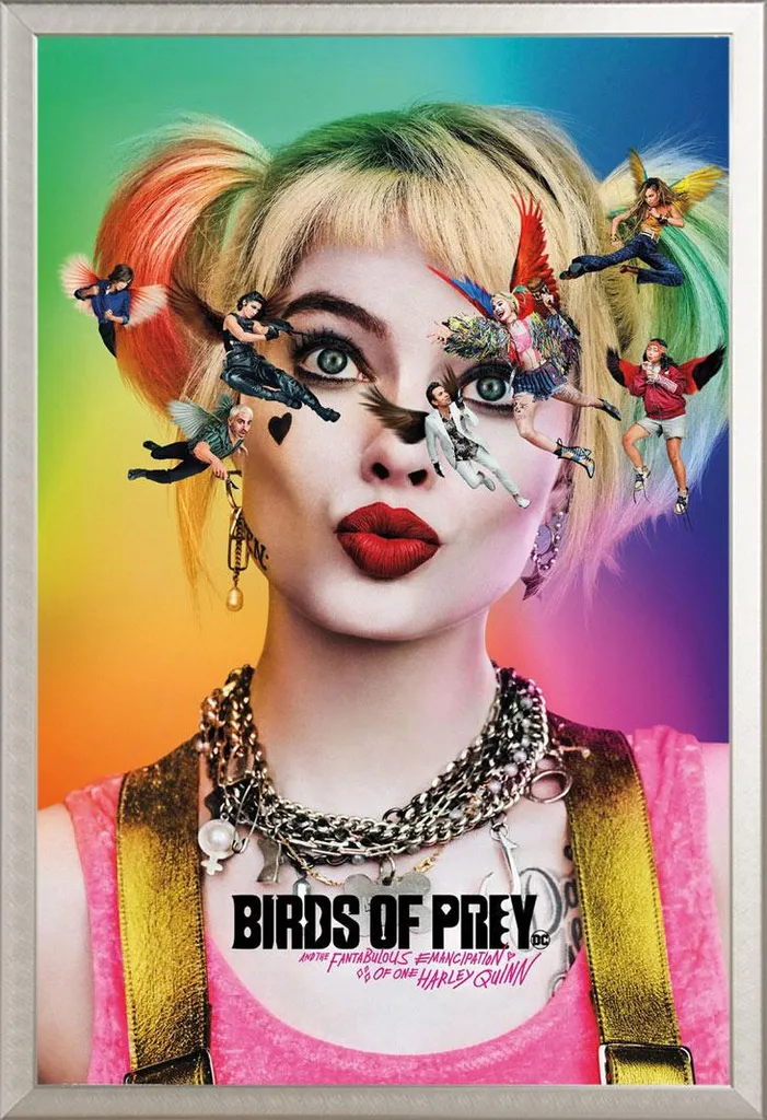 Poster Birds of Prey Seeing Stars + Cadre Alu Argenté Shinsuke Maxi
