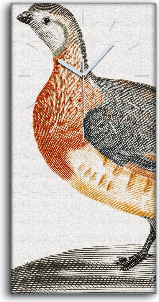 Leinwand Wanduhr Wandkunst Uhr Geräuschlos 30x60 Zeichnung Tier Vogel Kunst - weiße Hände