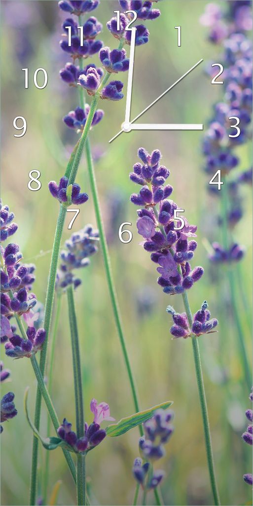 Wallario Design Wanduhr Lila Blumenfreude - Violette Pflanzen auf der Wiese aus Echtglas, Größe 30 x 60 cm