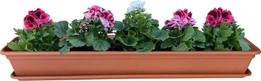 Jardinière Balcon Jardinière Terracotta avec système Image du produit 