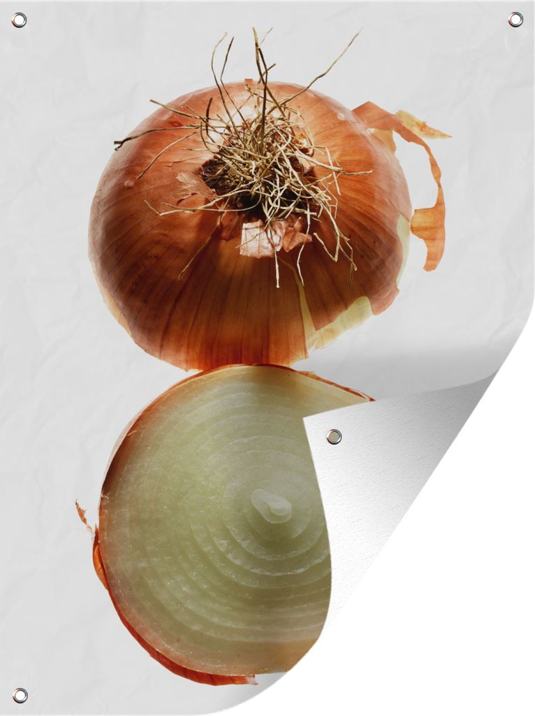 MuchoWow 30x40 cm Outdoor-Poster Gartendeko Sichtschutz Garten Poster für den Garten Halbierte Zwiebel mit Schürze vor weißem Hintergrund