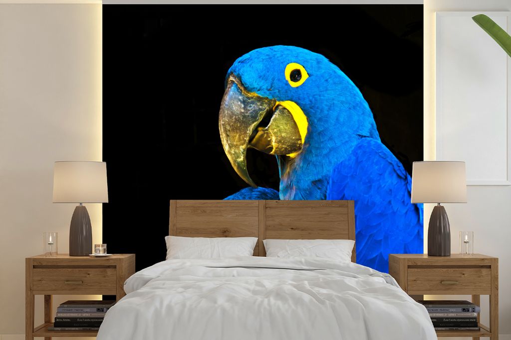 MuchoWow Fototapete für Wohnzimmer oder Schlafzimmer Wandtapete Vinyl Motivtapete Papagei - Vogel - Federn - Blau - 280x280 cm - Hintergrundbild