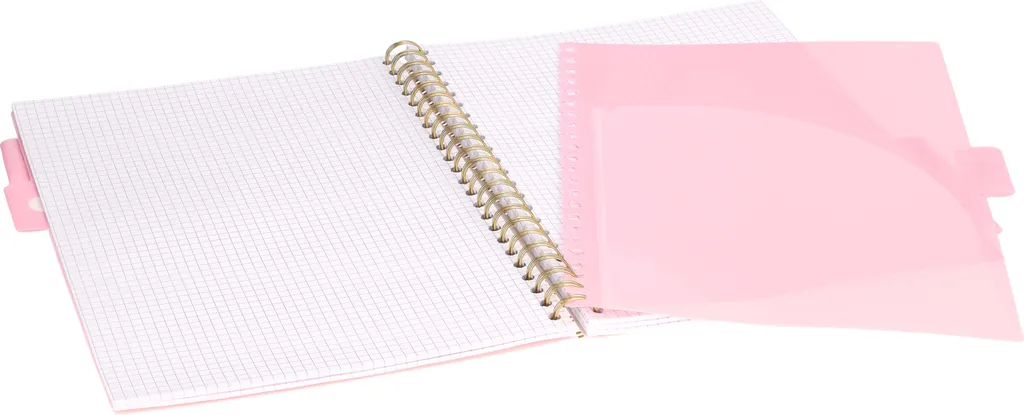 Quadernone A4 Marmo Rosa 100 Pagine Quadretti | Ideale per la Scuola - 2