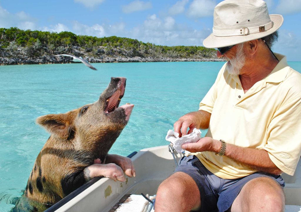 hansepuzzle 39584 - Bahamas Puzzle, 260 Teile, Reisen, 41,0 x 28,0cm mit hochwertiger Aufbewahrung, Kartonbox und wiederverschließbarem Beutel