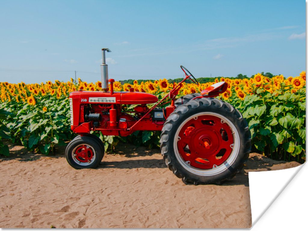 MuchoWow Poster Traktor - Rot - Sonnenblume - Bauernhof - Blumen 40x30 cm - Plakate für die Wände - Poster Wohnzimmer