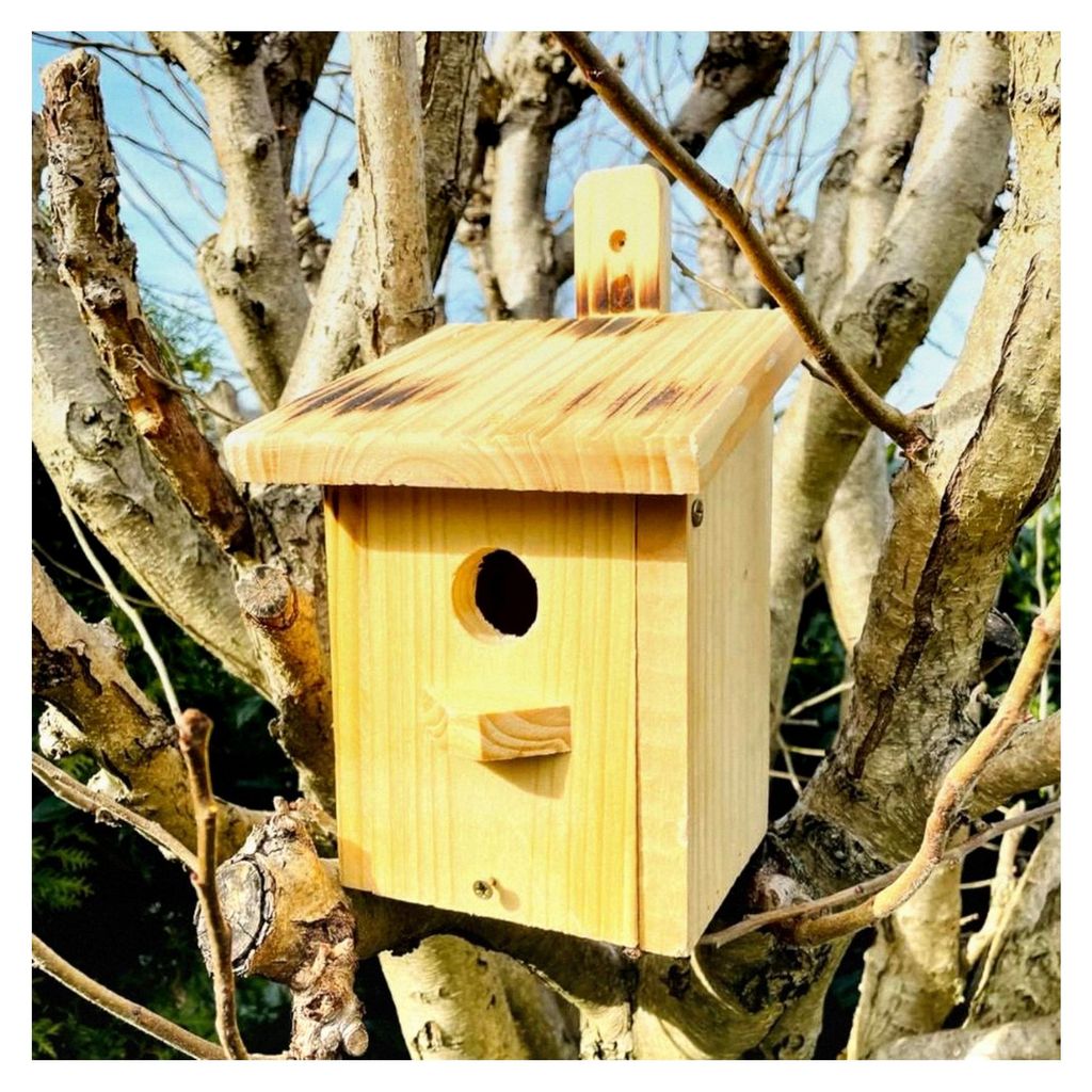 Nistkasten für kleine Singvögel aus Holz, rechteckig, natur/geflammt