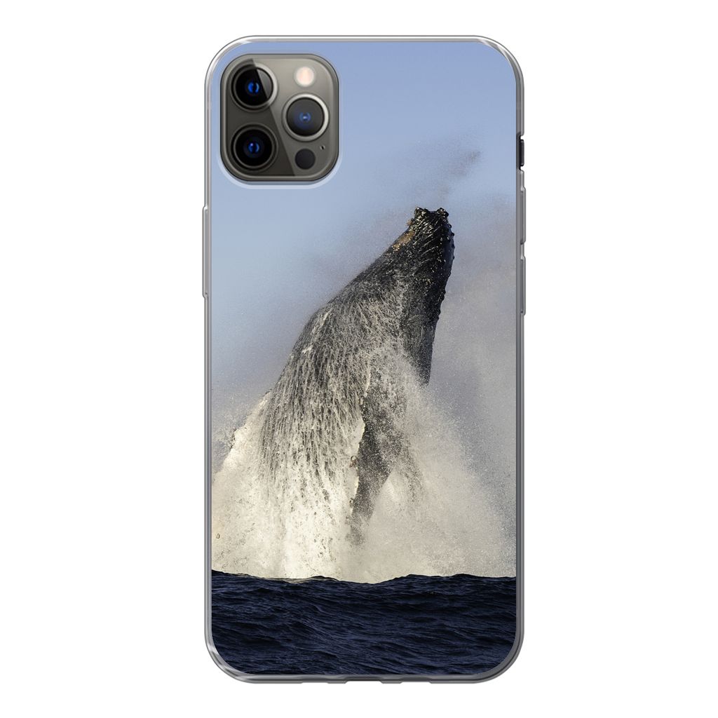 MuchoWow Handyhülle Schutzhülle Hülle für iPhone 13 Pro Max Wal - Wasser - Südafrika Silikon Softcase Handy Hülle - Mobiltelefon