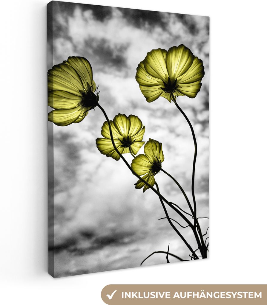 OneMillionCanvasses - Leinwandbilder - 90x140 cm, Blumen - Schwarz - Weiß - Gelb, Wandbilder Kunstdruck Wanddekoration - Wandschmucke - Schlafzi...