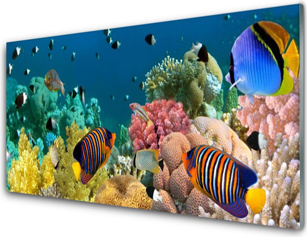 Küchenrückwand aus Glas 100x50cm Spritzschutz Korallenriff Natur