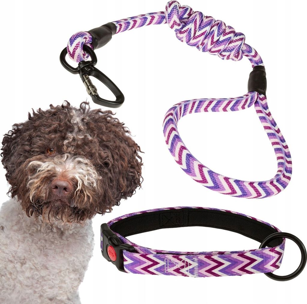 ADJUSTABLE COLLAR + LANYARD für Hunde mit Neoprenfutter und Clip.
