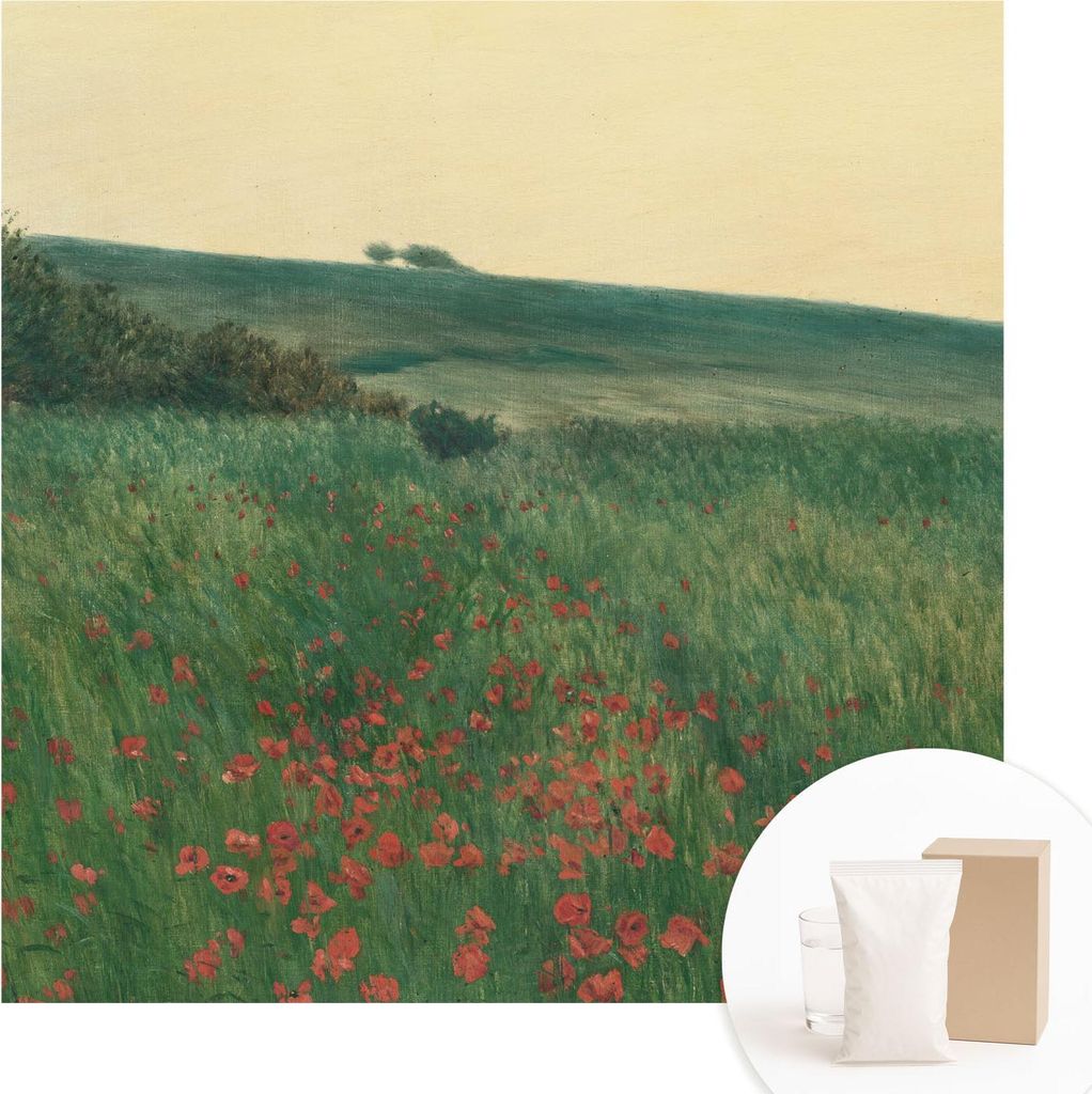 Fototapete - Wandbilder für Wohnzimmer - 250x250 cm - Dekorative Wandfolie - Modernes Design für Wanddekoration - Tapeten für Innenräume - Mohn...
