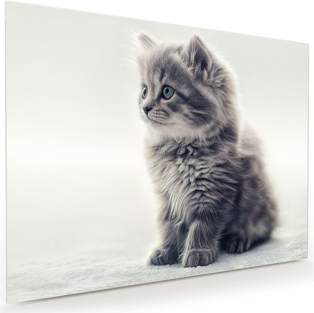 Glasbild 120x90cm in XXL für Wohnzimmer, Schlafzimmer Motiv Kitten Portrait