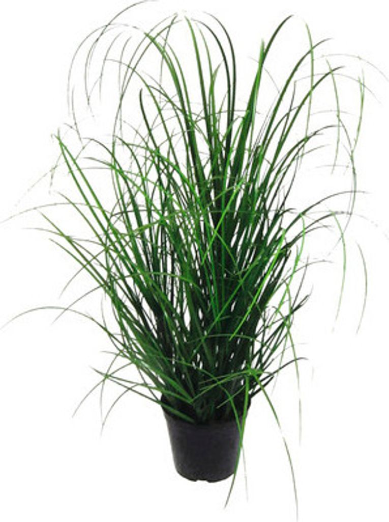 Kunstpflanze Grasbusch Höhe: 60 cm grün Produktbild 