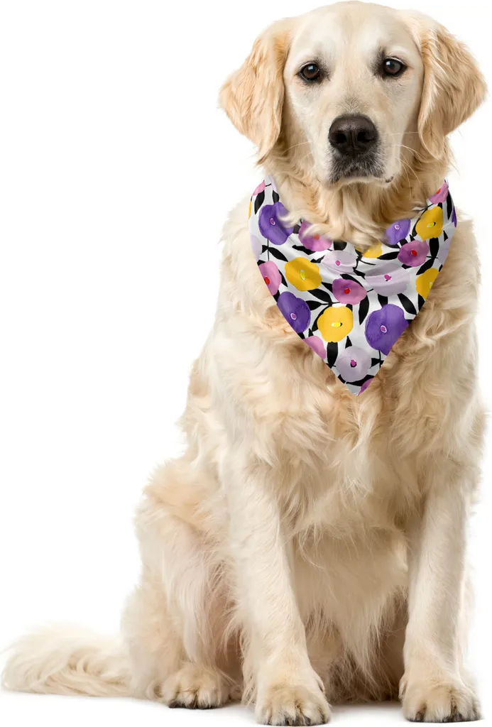 Bandana per Cani e Gatti ABAKUHAUS 55x55 cm - Stile Groovy Floreale