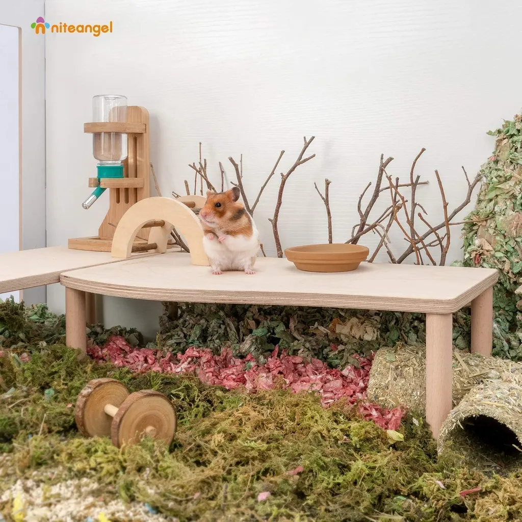 Plateforme Hamster Wave Design en Bois Massif avec Pieds de Soutien Fixes - 3