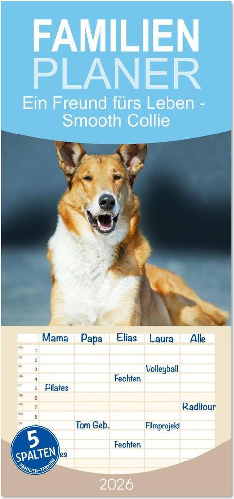 Familienplaner 2026 - Ein Freund fürs Leben - Smooth Collie mit 5 Spalten (Wandkalender, 21 x 45 cm) CALVENDO