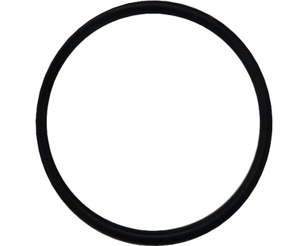O-ring für UVC-Einheit Produktbild 