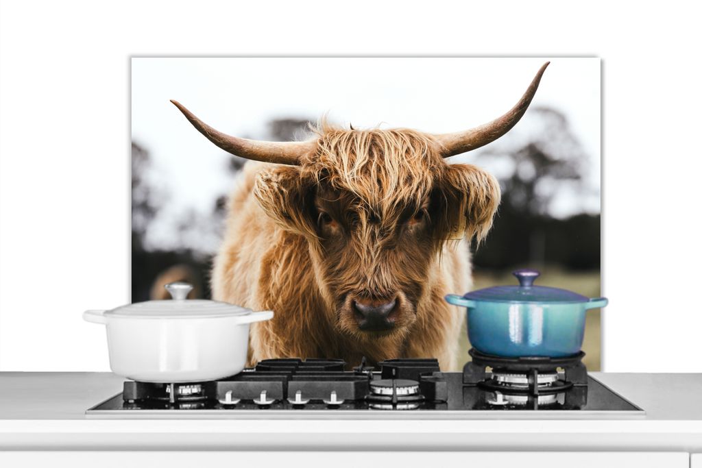 KitchenYeah Spritzschutz Küche - Küchenrückwand - Wandschutz für Herd und Spüle - Schottisches Hochlandrind - Kuh - Gras - Tiere - Natur 90...