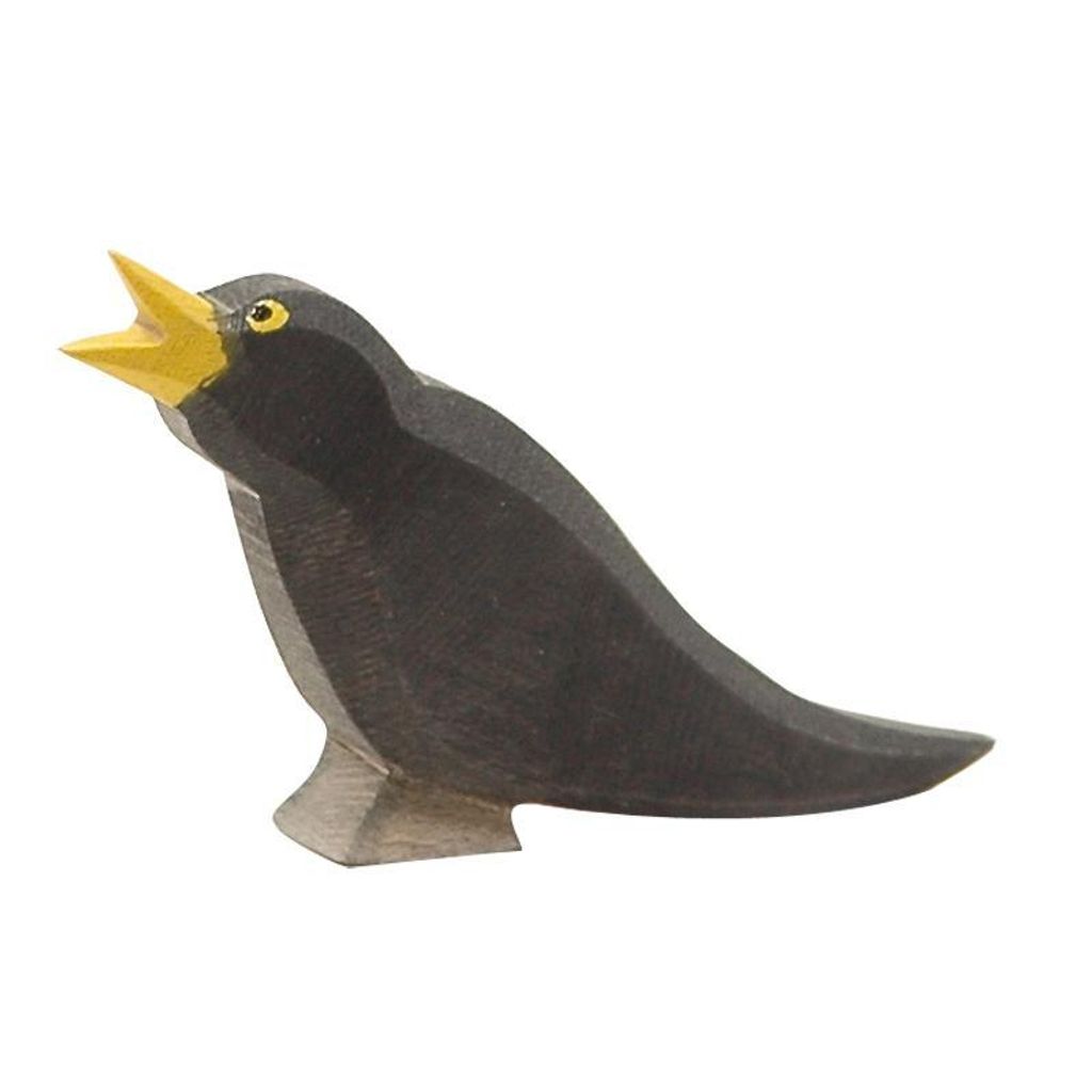 Ostheimer-Amsel