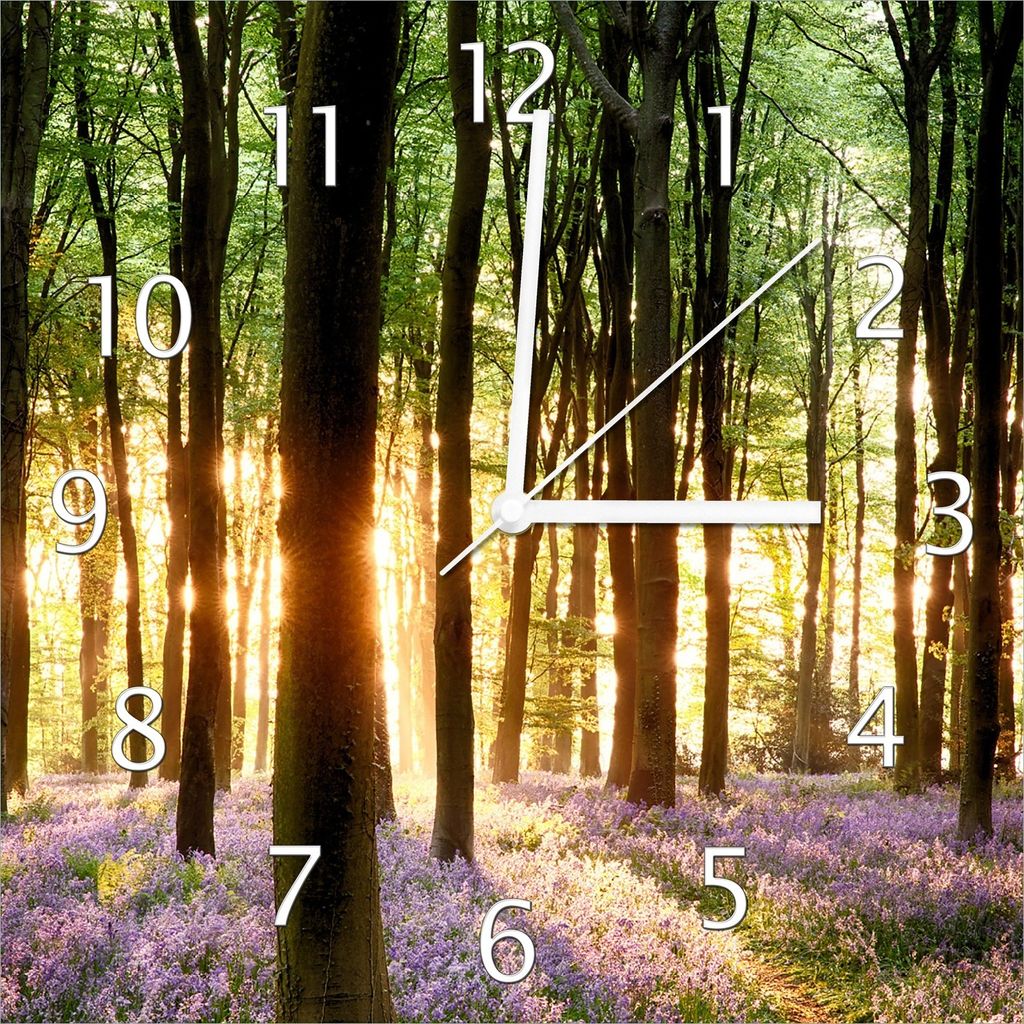 Wallario Design Wanduhr Blaue Hasenglöckchen im Wald mit Sonnenstrahlen aus Echtglas, Größe 30 x 30 cm