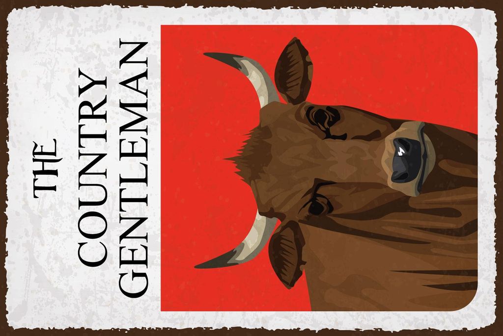 vianmo Blechschild 30x20 cm The country gentleman Rind