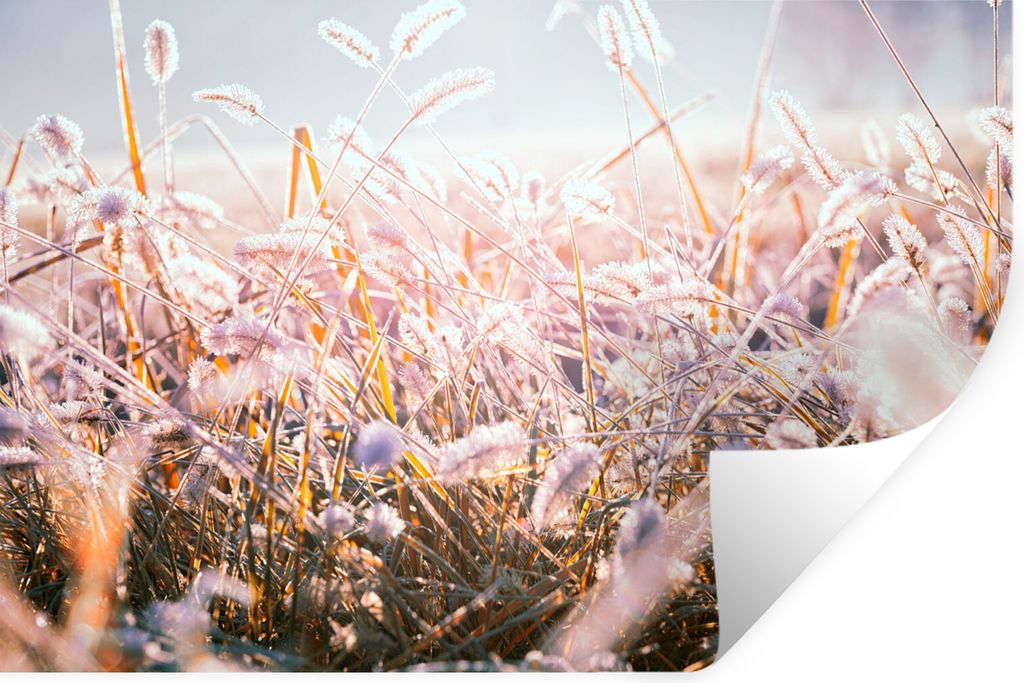 MuchoWow Wandtattoo Wandsticker Wandaufkleber Gras - Sonne - Winter - Schnee 90x60 cm Selbstklebend und Repositionierbar - Aufkleber