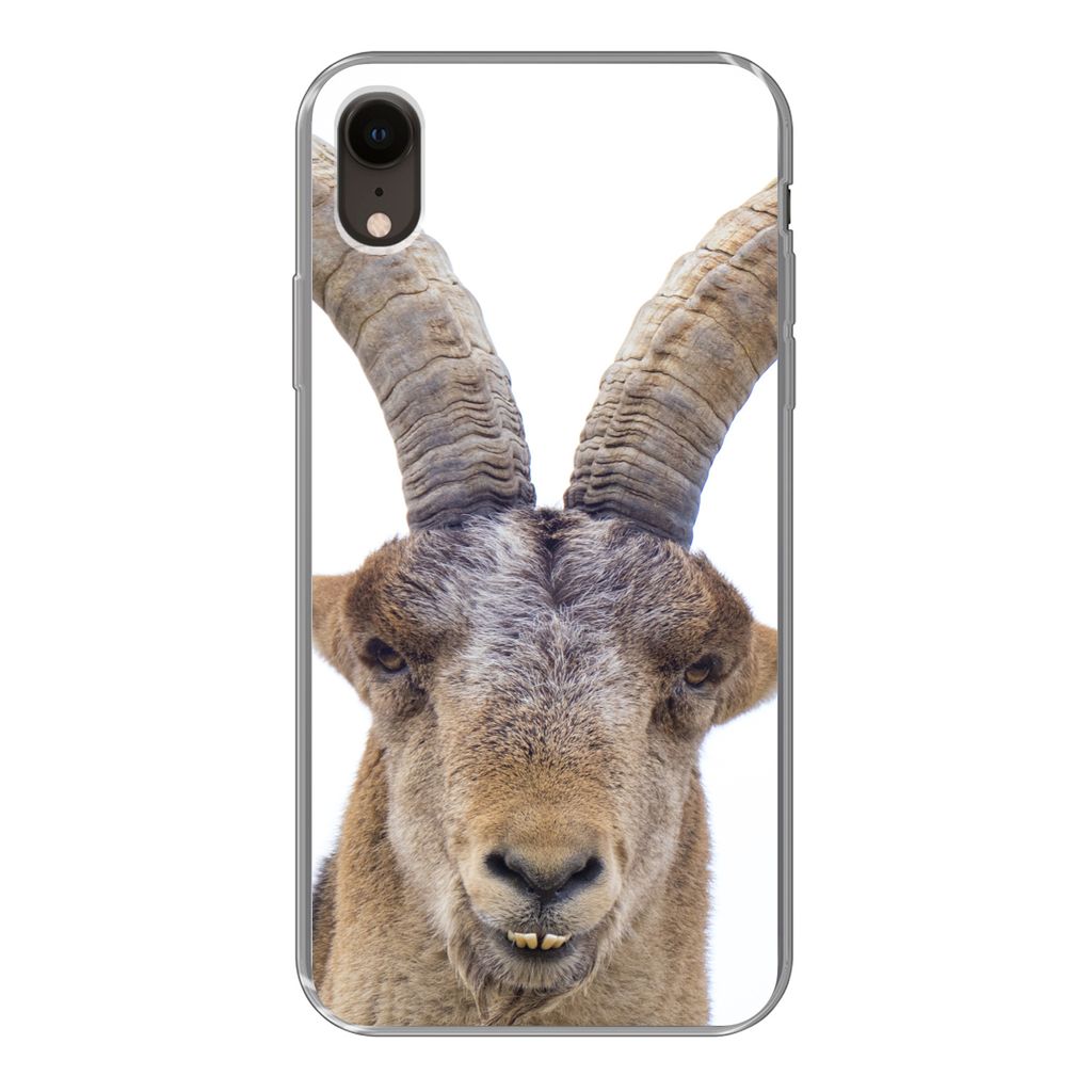MuchoWow Handyhülle Schutzhülle Hülle für iPhone XR Steinbock - Tiere - Hoorn Silikon Softcase Handy Hülle - Schutzdeckel