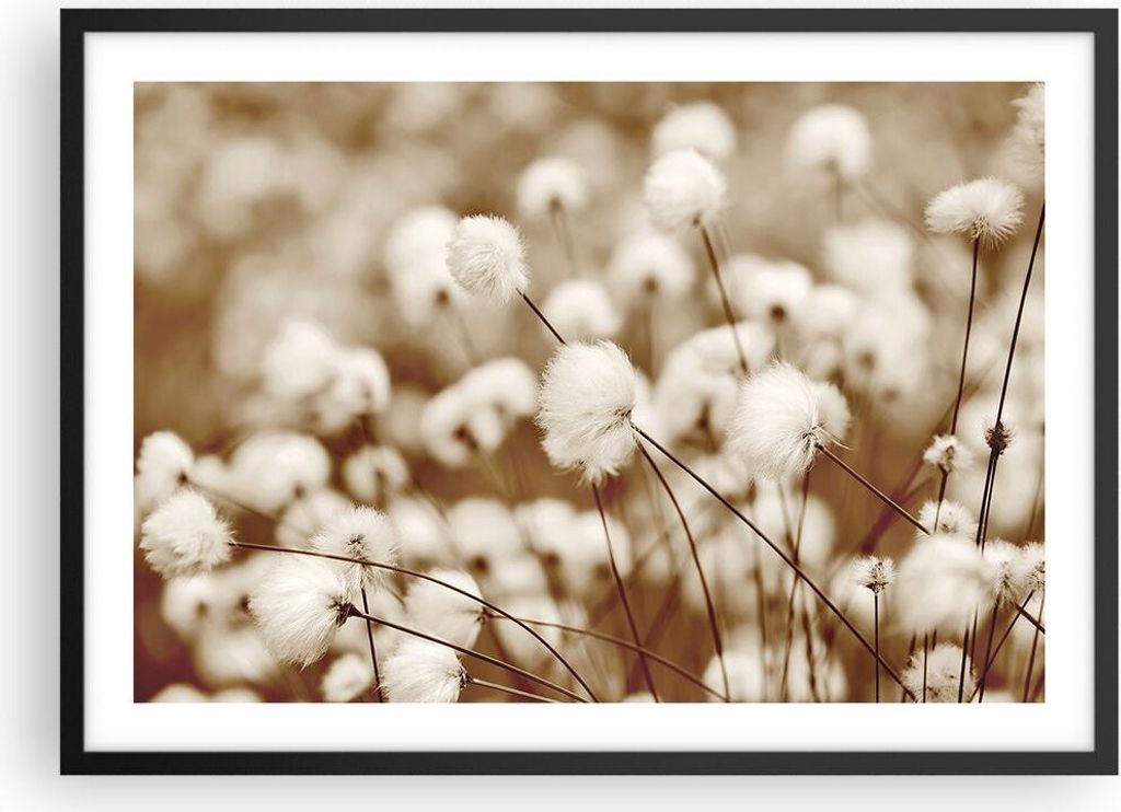 Gerahmtes Poster - Schwarzer Rahmen - Baumwolle Boho Wollig - 70x50 cm - Wand Bild - Wanddeko - Wandbilder - Kunstposter - Wandposter - Bilderrahme...