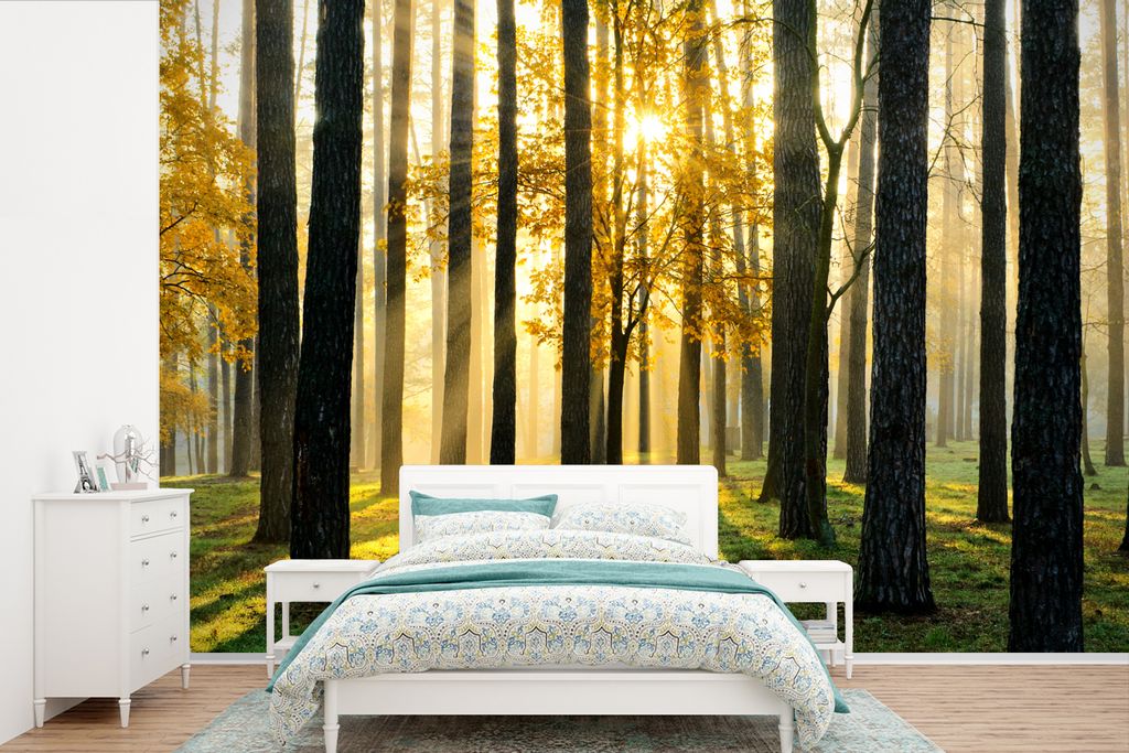 MuchoWow Fototapete für Wohnzimmer oder Schlafzimmer Wandtapete Vinyl Motivtapete Wald - Sonne - Bäume - Gras - Landschaft - Natur - 525x350 cm...