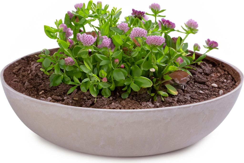 Pflanzschalen für draussen Dekoschalen rund sand beige 20 cm