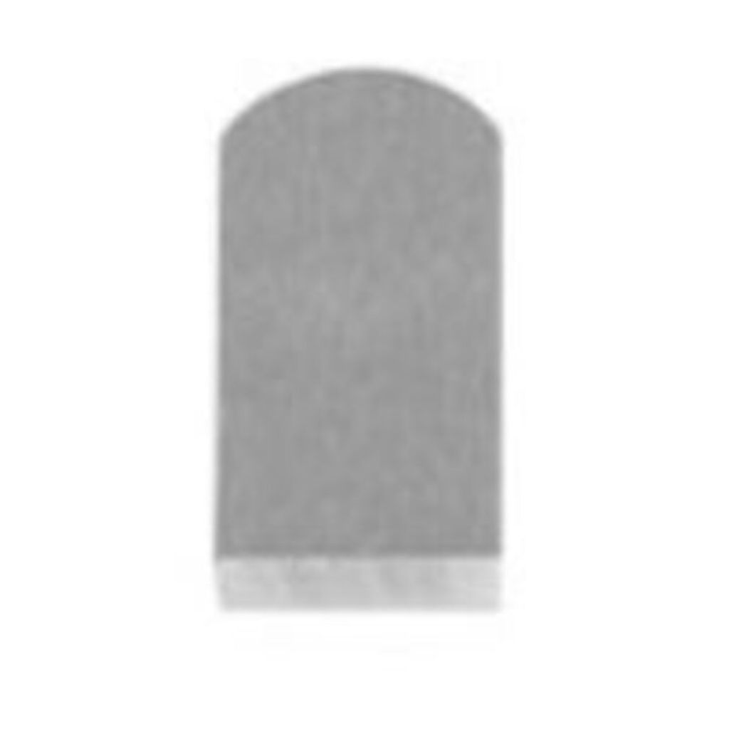 Kunz Ersatzeisen 100 Standard