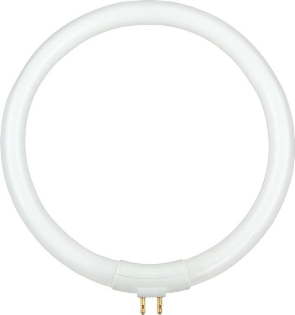 T4 12W Lampe Leuchtstofflampe für Werkstattlampe mit Lupe Produktbild 